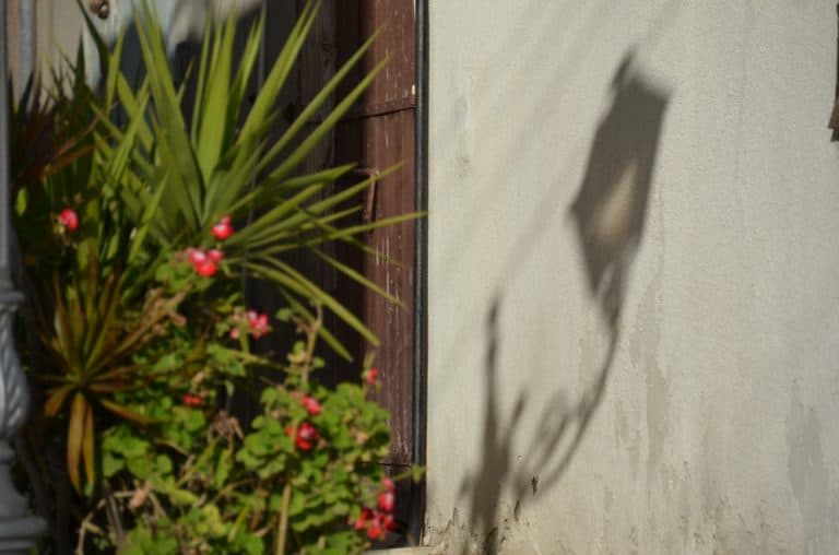 Polis – shadow of lamp, Apr.2015
