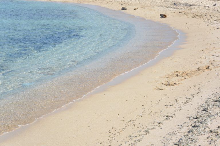 ウサギ島－ビーチ 2017年10月 (プーリア州)