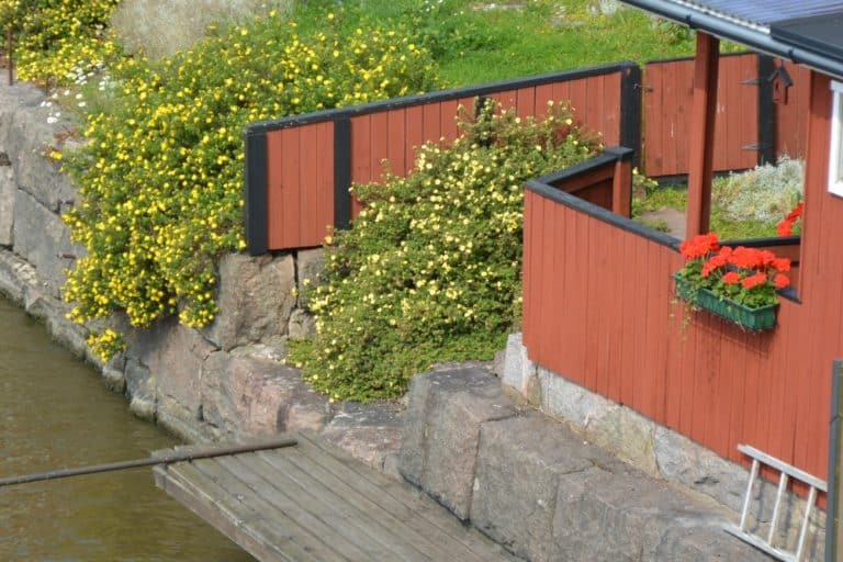 old town – flowers and red walls, Aug.2015 (Porvoo)