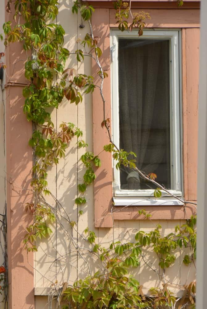 old town – long window, Aug.2015 (Porvoo)