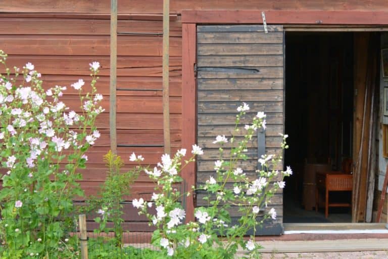 old town – flowers and wooden house, Aug.2015 (Porvoo)