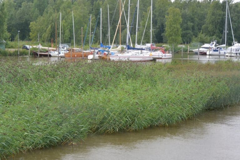 on the river – yachts, Aug.2015 (Porvoo)