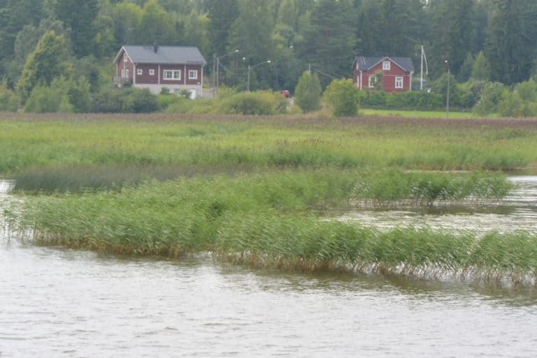 on the river – houses, Aug.2015 (Porvoo)