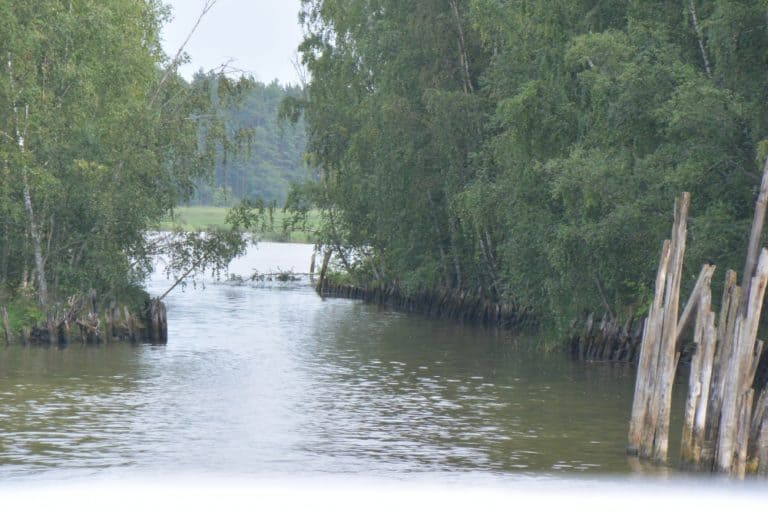 on the river – nature, Aug.2015 (Porvoo)