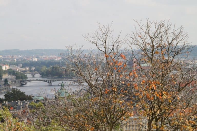 Czech, Prague – autumn, Sept.2013 (Prague)