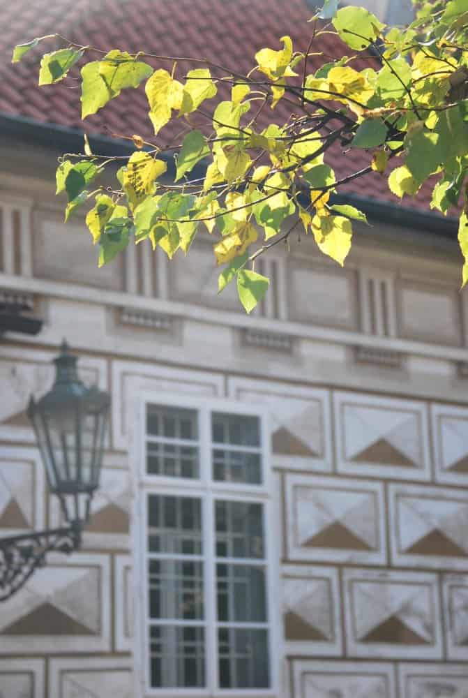 Czech, Prague – light on leaves, Sept.2013 (Prague)