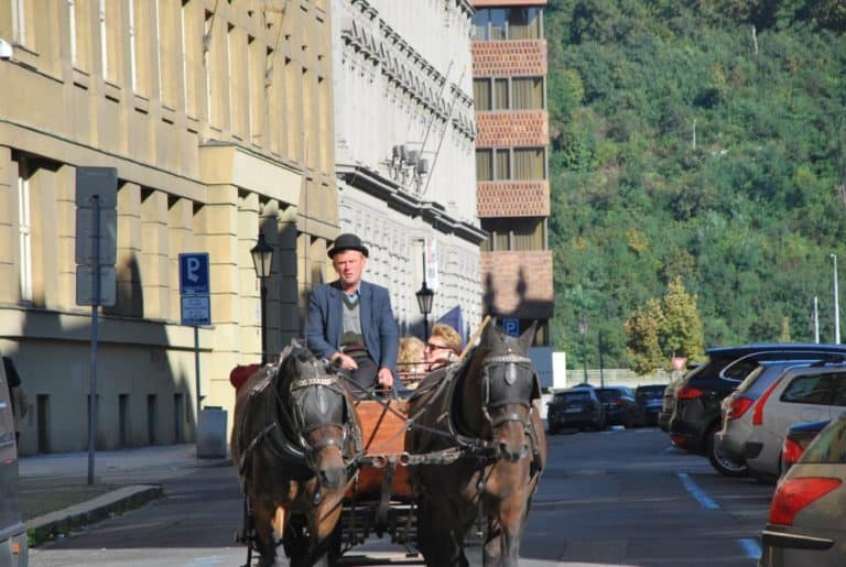 Czech, Prague – coachman, Sept.2013 (Praga)