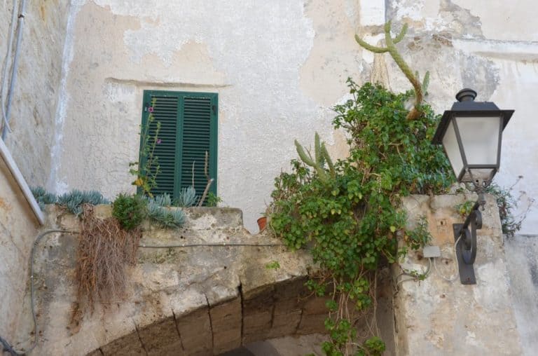 イタリア、ポリニャーノ・ア・マーレ－植物のある窓 2013年4月 (プーリア州)