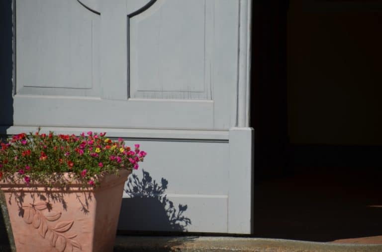 Radeburg – flower pot, Sept.2015