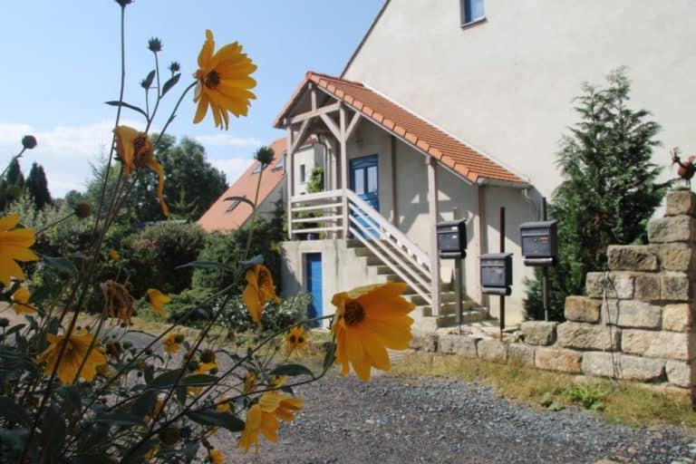 Radeburg – yellow flowers, Sept.2015