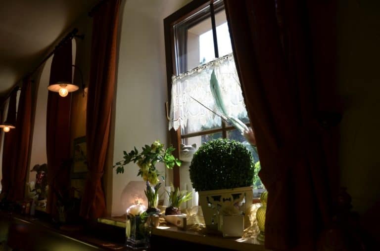 Radeburg – by the window, Sept.2015