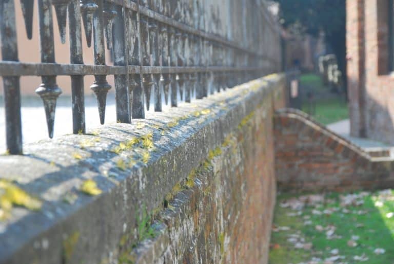 nella città – vecchia cancellata, Feb.2015 (Ravenna)