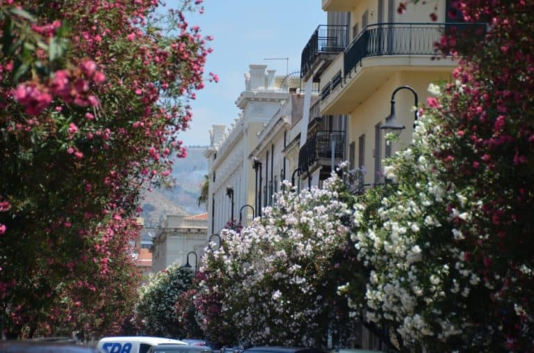 Reggio di Calabria – flowery street, July 2015 (Calabria)