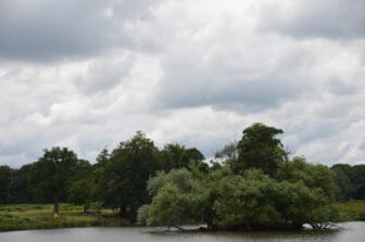 Richmond Park 2021 (12)