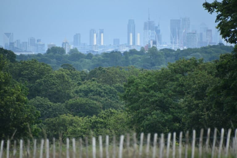 Richmond Park 2021 (8) (Londres)