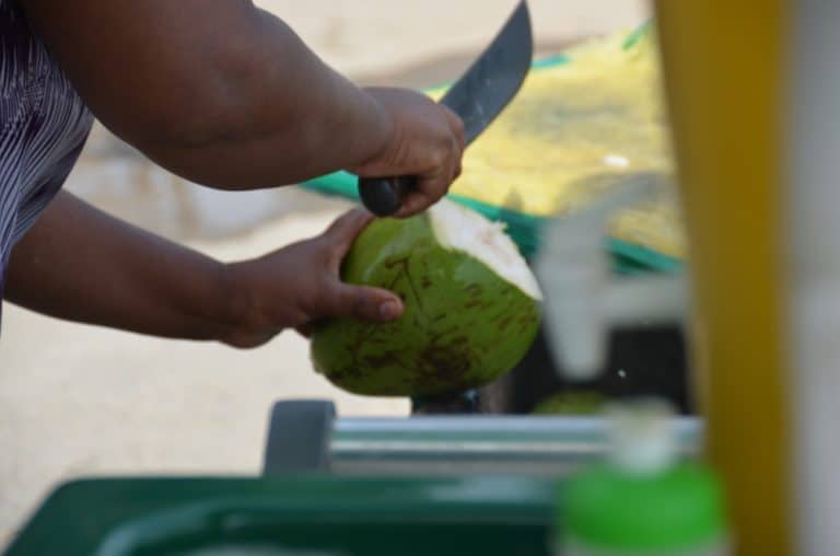 niteroi – noce di cocco, Gen.2016 (Rio De Janeiro)