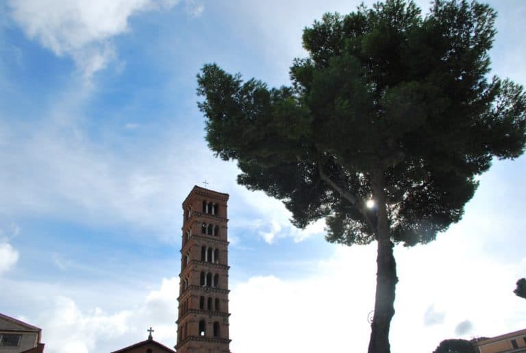 Italia, Roma – albero, torre e cielo, novembre 2013 (Roma)