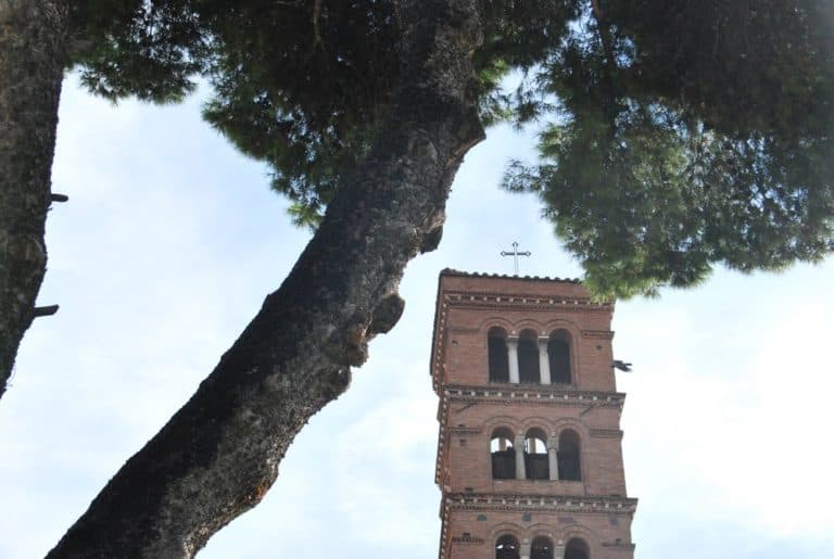 Italia, Roma – albero e torre, novembre 2013 (Roma)