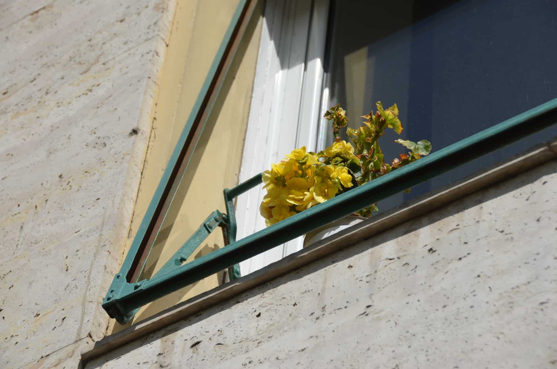 Roma (27) (Rome)