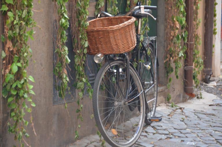 Roma (50) (Roma)