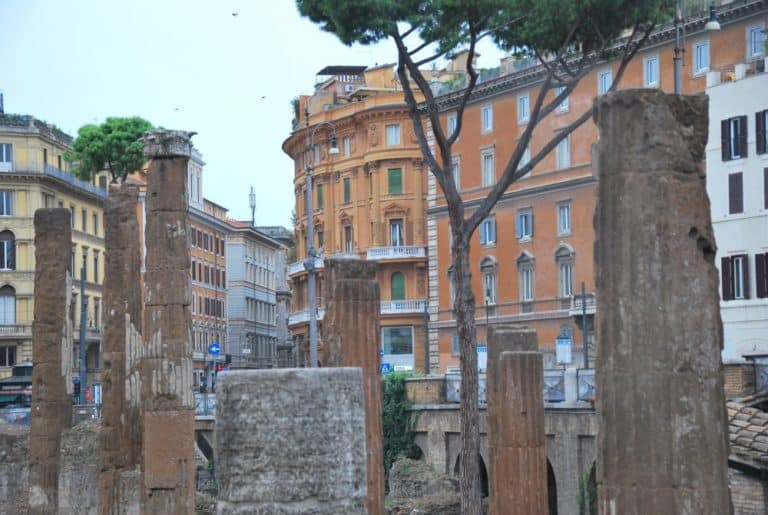 Italy, Rome – ruin and tree, Nov.2013 (Rome)