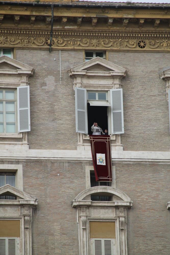 Italy, Rome – Pope, Nov.2013 (Rome)