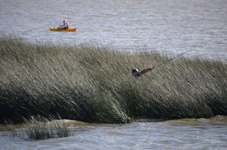 San Isidro – fishing, Mar.2018 (Buenos Aires)