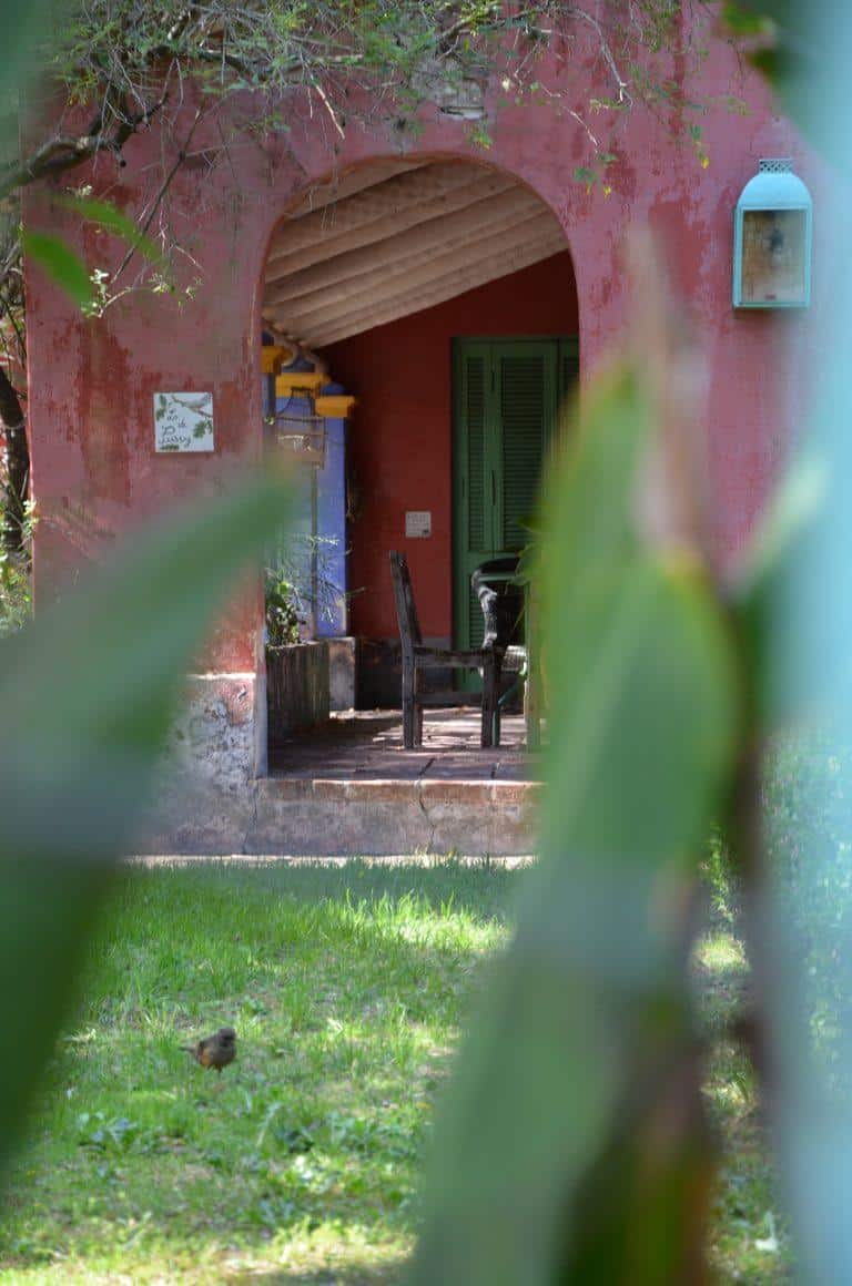 San Isidro – peeping, Mar.2018 (Buenos Aires)