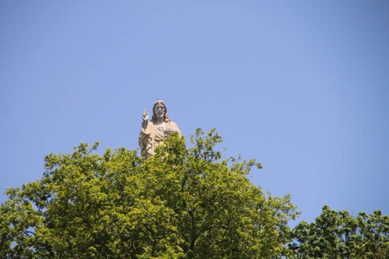 Spagna, San Sebastian – alberi e statua, mag. 2014 (San Sebastian)