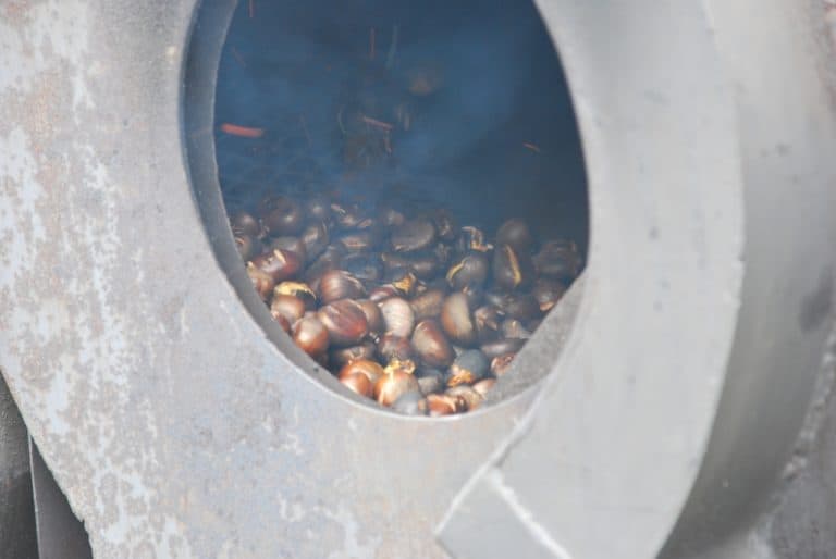 Italy, Santa Maddalena – chestnuts, Oct.2014 (South Tyrol)