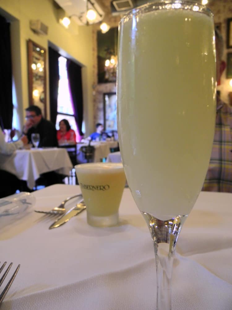 pisco-sur-santiago-del-cile