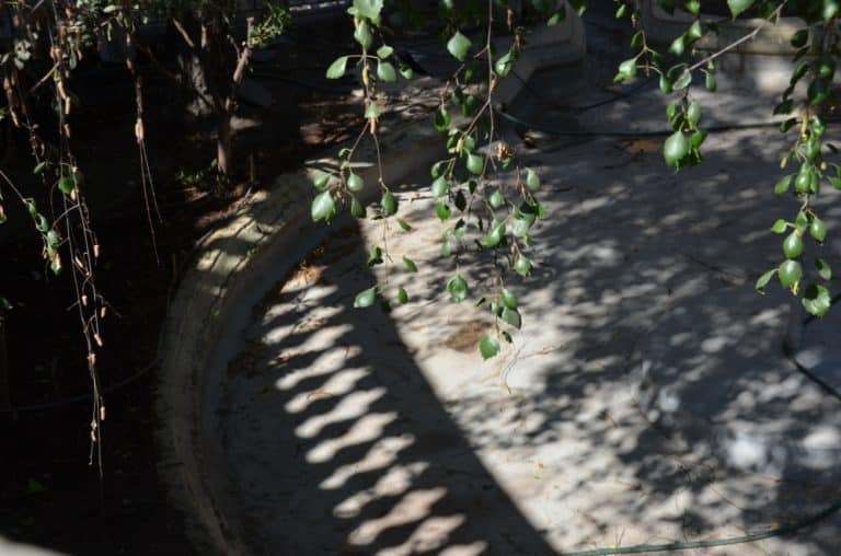 Santa Lucia hill – shadow of railing, Dec.2015 (Santiago)
