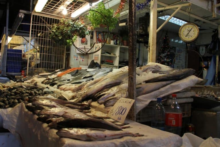 mercato-pesce-di-santiago-del-cile
