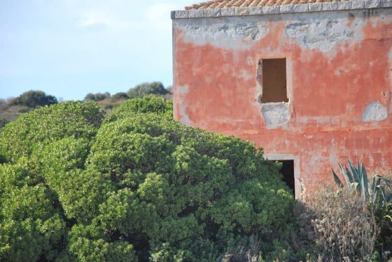 Italia, Sardegna, Costa Rei – muro rosa, 2010 (Sardegna)