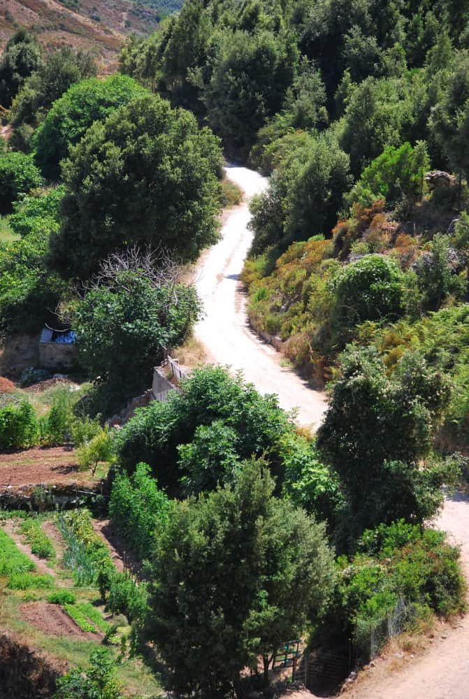 Italia, Sardegna, Ulassai – strada, 2010 (Sardegna)