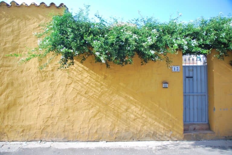 Italia, Sardegna, Cagliari – muro giallo, 2010 (Sardegna)