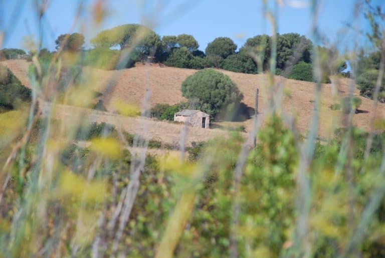 Italia, Sardegna – pomeriggio, 2010 (Sardegna)