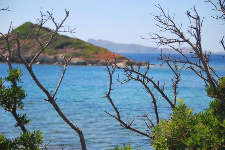 Italia, Sardegna, Costa del Sud – rami, 2010 (Sardegna)