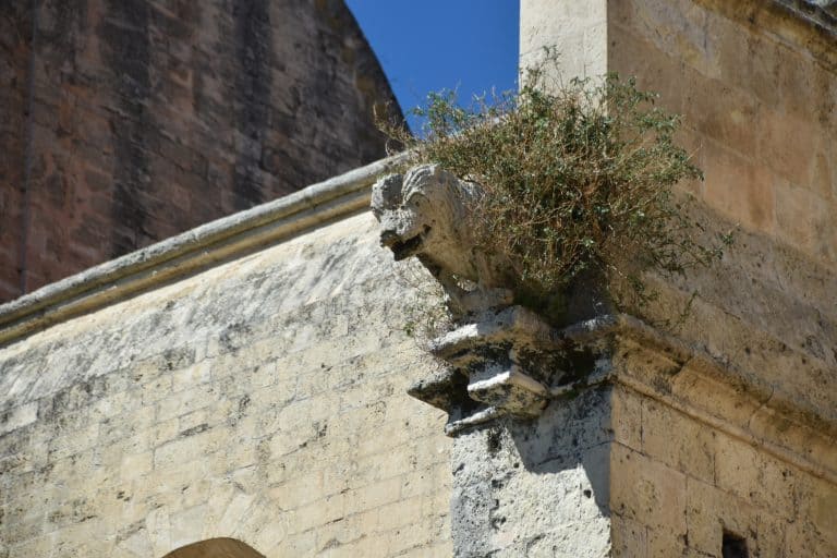 Sassari and Saccargia (31) (Sardegna)