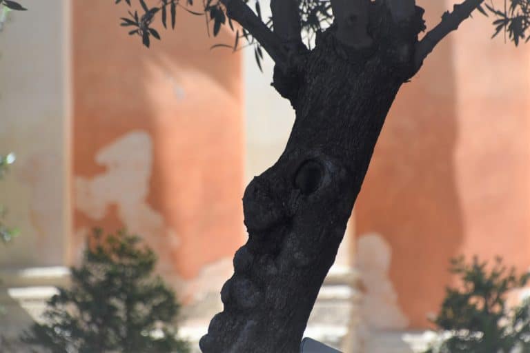 Sassari and Saccargia (42) (Sardegna)
