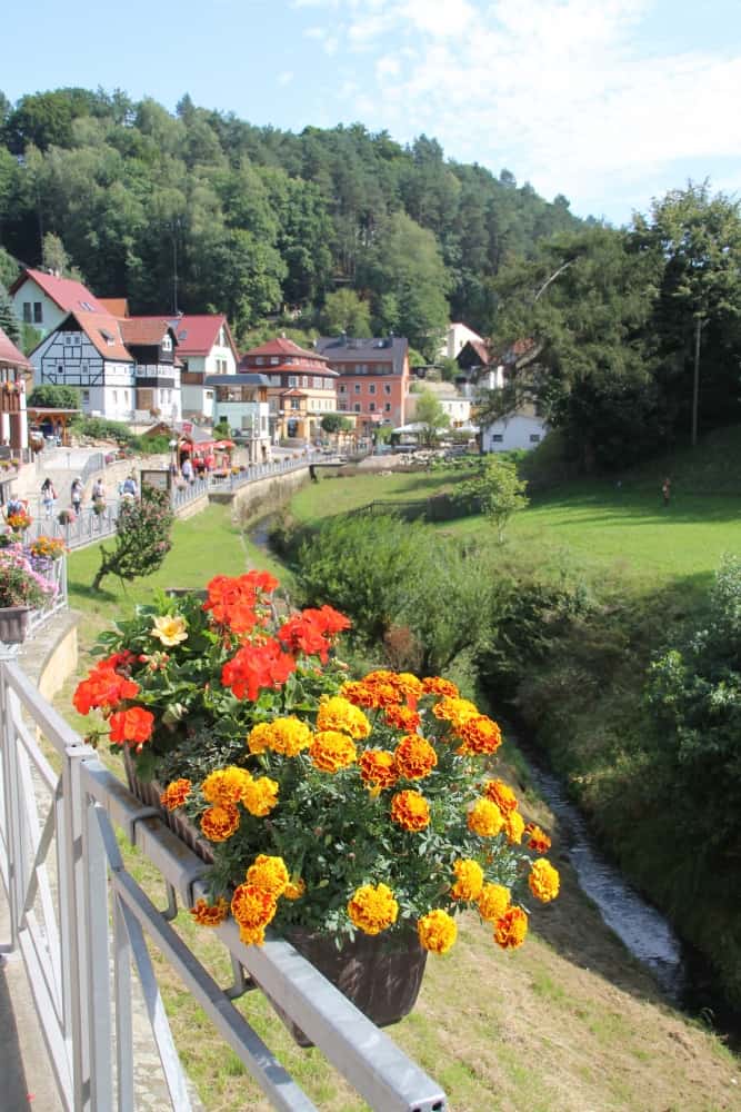 Rathen – flowers along the street, Aug.2015