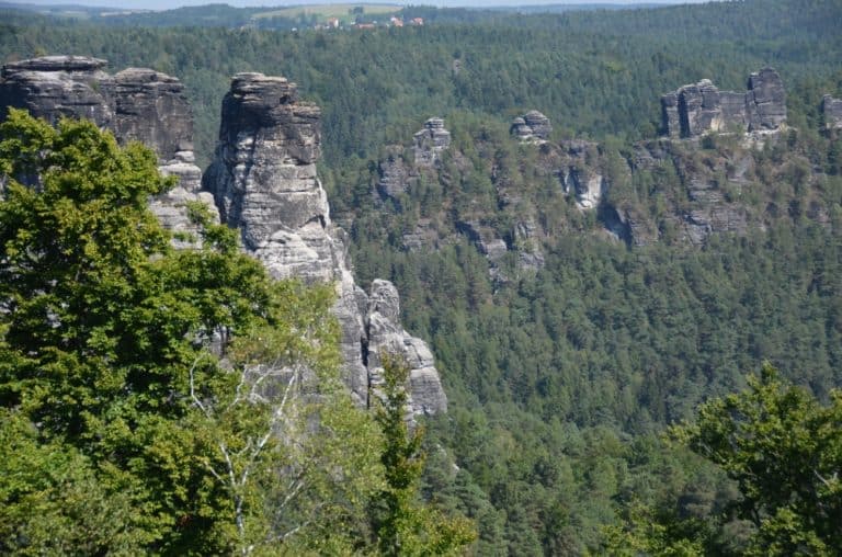 Bastei – rock and trees, Aug.2015