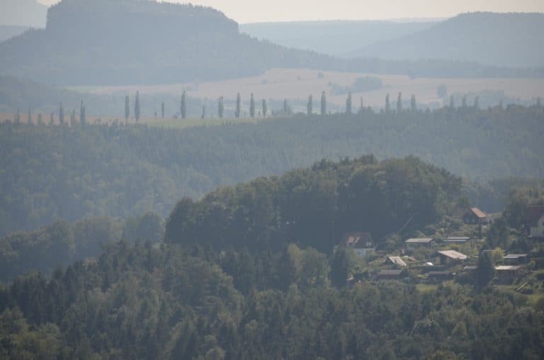Bastei – trees far away, Aug.2015