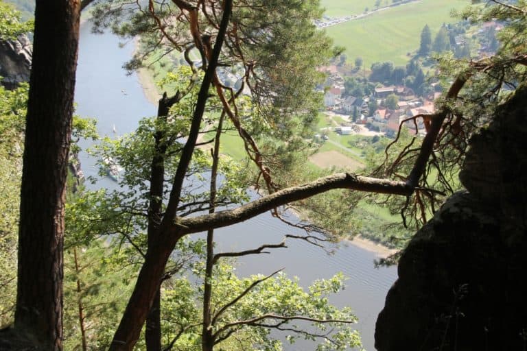 Bastei – gli alberi e l’Elba, Agosto 2015