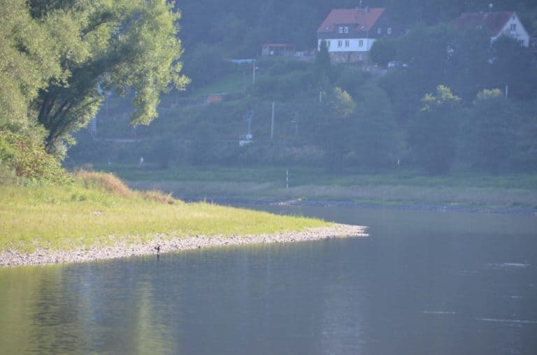 on Elbe – meander, Aug.2015