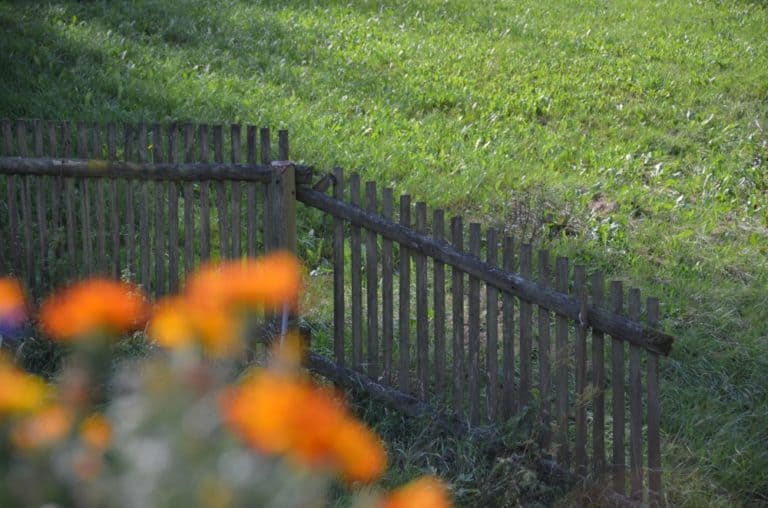 Rathen – fence, Aug.2015