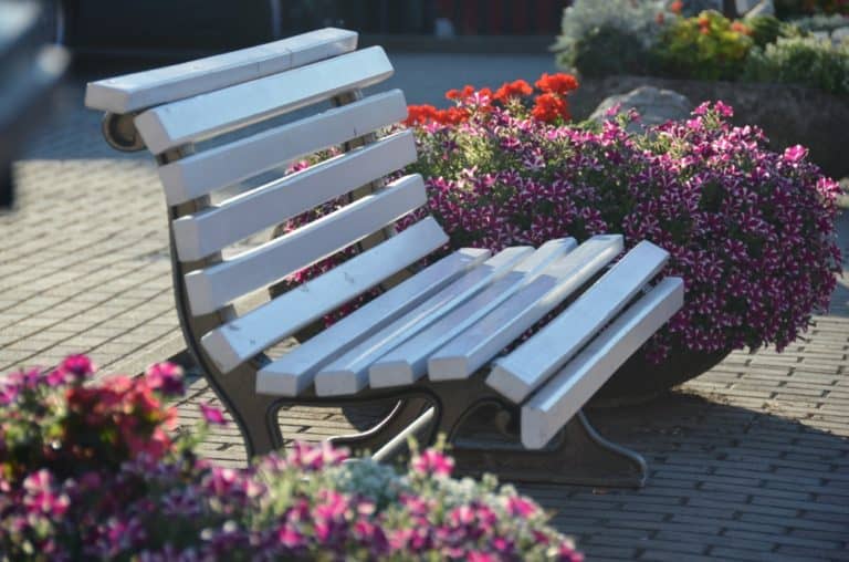 Bad Schandau – bench, Aug.2015