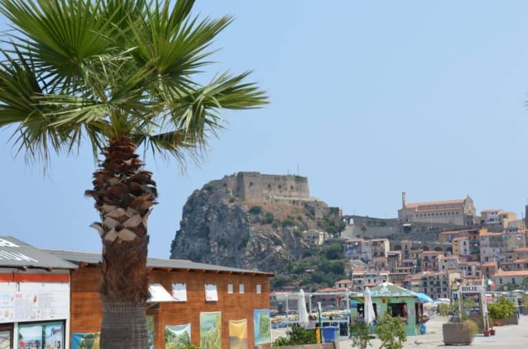 Scilla – palma, Luglio 2015 (Calabria)