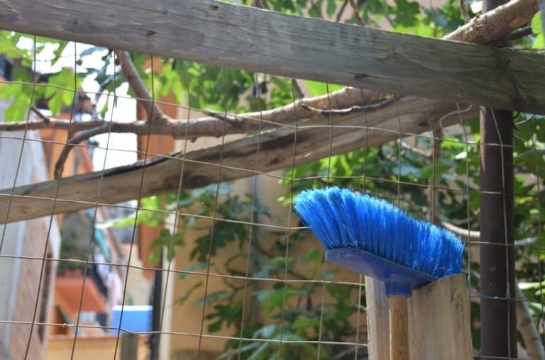 Scilla – blu, Luglio 2015 (Calabria)