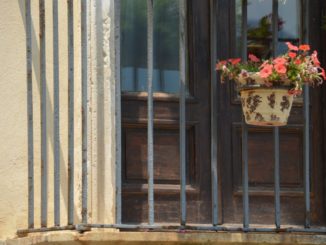 シッラ―植物のある窓 2015年7月